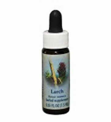 Larch Flower Essence