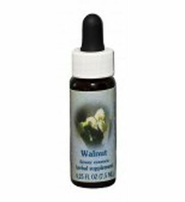 Walnut Flower Essence