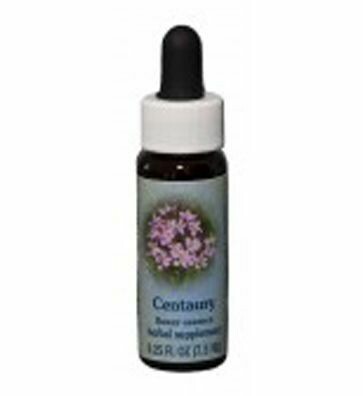 Centaury Flower Essence