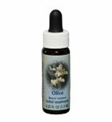 Olive Flower Essence