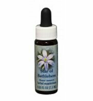 Star of Bethlehem Flower Essence