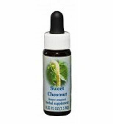 Sweet Chestnut Flower Essence