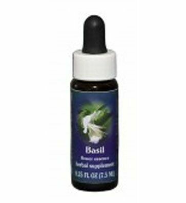 Basil Flower Essence