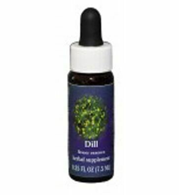 Dill Flower Essence