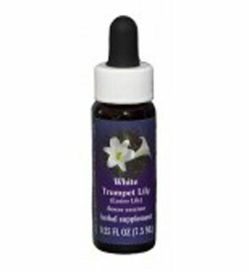 Easter Lily Flower Essence
