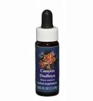 Canyon Dudley Flower Essence