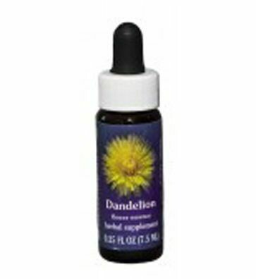Dandelion Flower Essence
