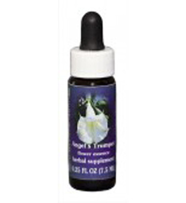 Angel&#39;s Trumpet Flower Essence