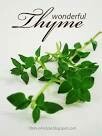 Thyme Leaf Whole