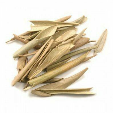 Olive Leaf