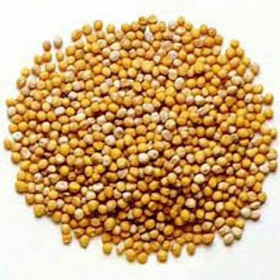 Mustard Seed Yellow
