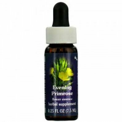 Evening Primrose Flower Essence