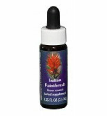 Indian Paint Brush Flower Essence