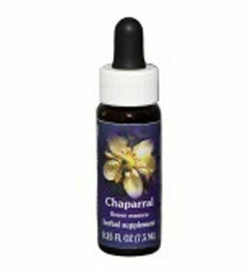 Chapperal Flower Essence