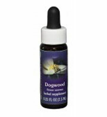 Dogwood Flower Essence