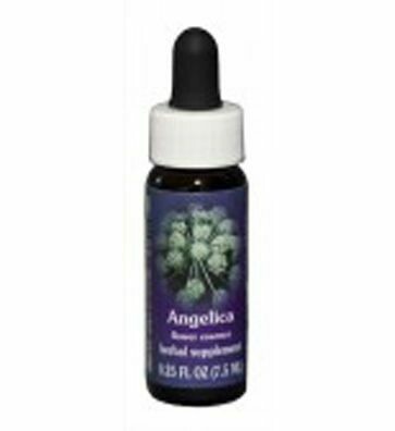 Angelica Flower Essence