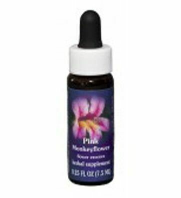 Pink Monkey Flower Essence