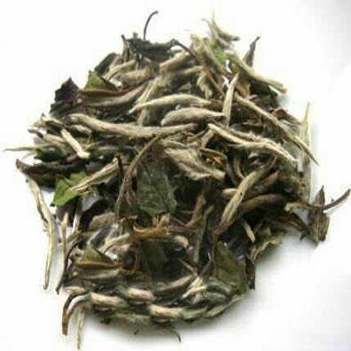 Pai Mutan White Tea