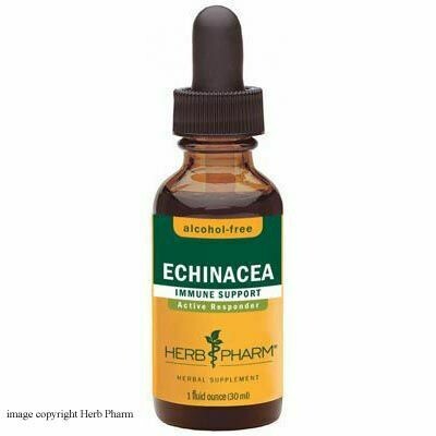Echinacea Immune Support Tincture