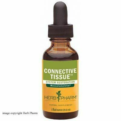 Connective Tissue