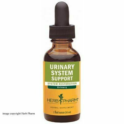 Urinary System Support