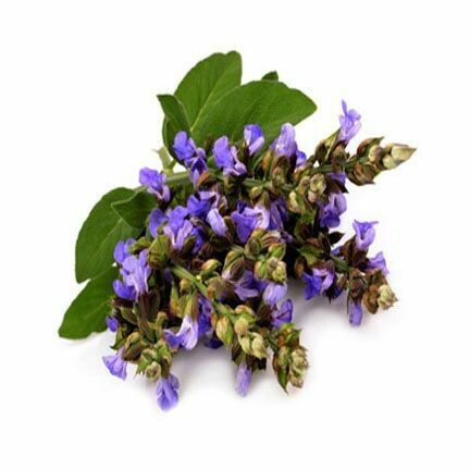 Clary Sage 1/2 oz.