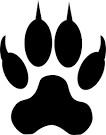 Feline Care