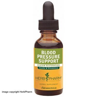 Blood Pressure Support