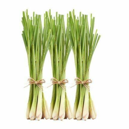 Lemongrass Essential Oil 1/2 ounce