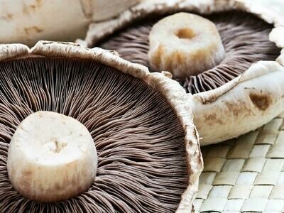 Mushrooms
