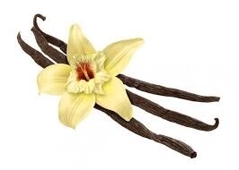 Vanilla Bean (per Bean)