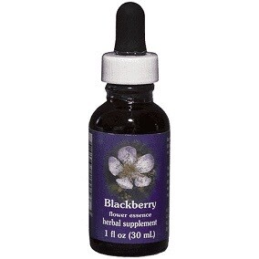 Blackberry Flower Essence