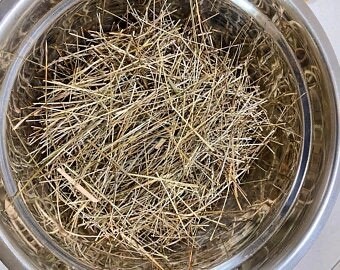 Sweet Grass