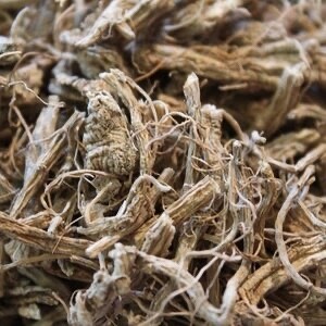 Teasel Root
