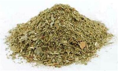 Sassafras Leaf
