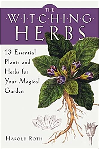 Witching Herbs: 13 Essential Plants and Herbs For Your Magical Garden