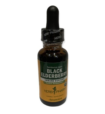 Black Elderberry Extract