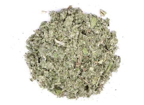 Artichoke Leaf