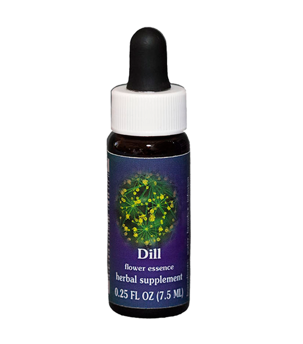 Dill Flower Essence