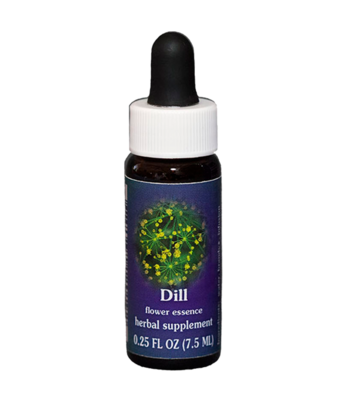 Dill Flower Essence