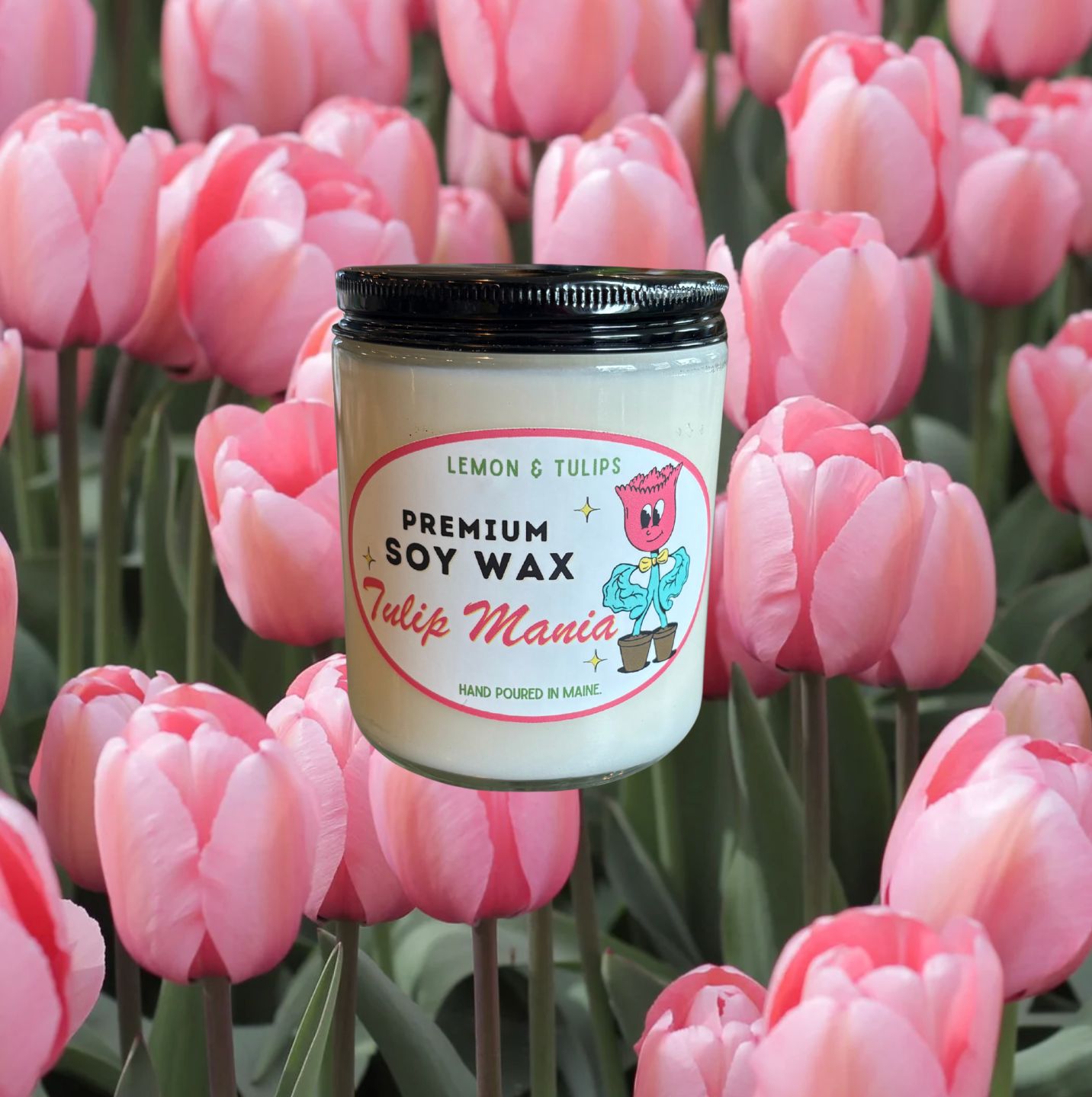 CANDLE | TULIP FIELDS