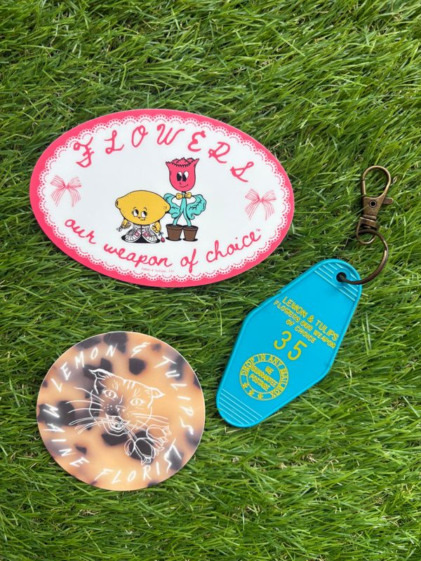 LT PROMOTIONAL PACK