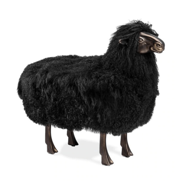 LEROY SHEEP