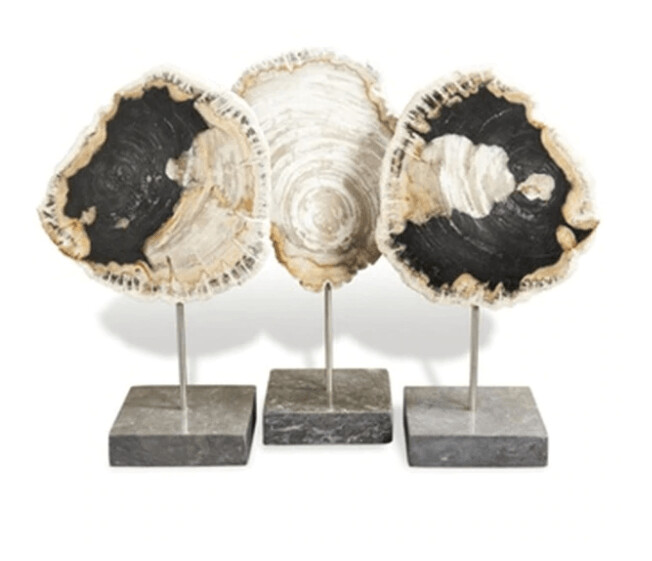 PETRIFIED WOOD TRIO