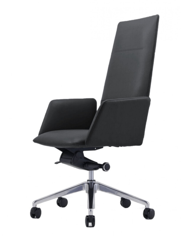 TRIBBLE OFFICE CHAIR