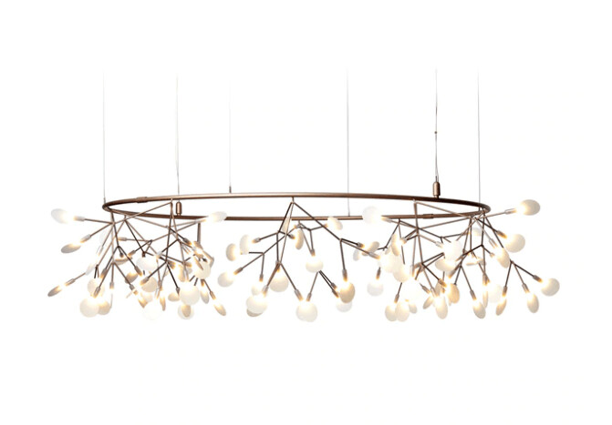 HERACLEUM SMALL BIG O