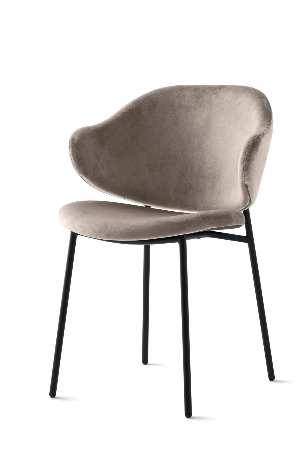 HOLLY DINING CHAIR