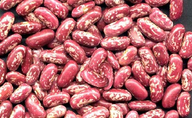 Rose Coco Beans per KG