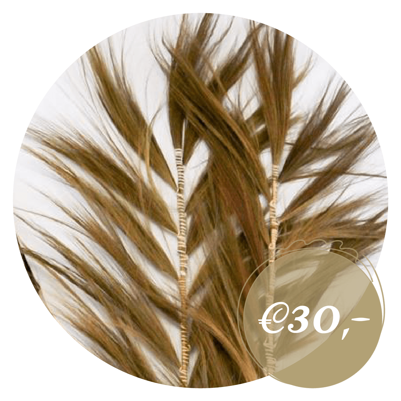 Decoratieve palmbladeren (p/st) Decoratieve palmbladeren (p/st)