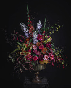 Stilleven: &#39;Autumn Dreams&#39;